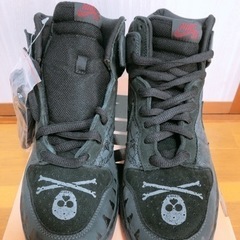 【希少品】ナイキ　スニーカー　28  NIKE DUNK HIGH PRO SB  MELVINS SKULLの画像