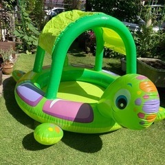 カメさんプールの画像