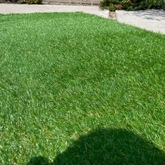 【決まりました】ロール人工芝　(水切り穴付)の画像