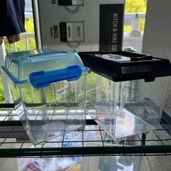 爬虫類　飼育ケース、プラケースの画像