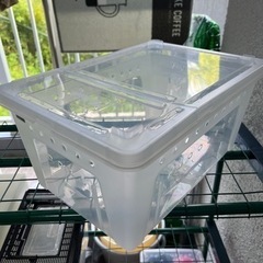 爬虫類　飼育ケース、プラケースの画像