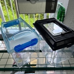 爬虫類　飼育ケース、プラケースの画像