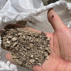 【決定】【まとめて貰って下さい】残土23袋位の画像