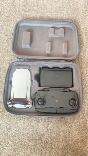 その他 DJI Mavic mini