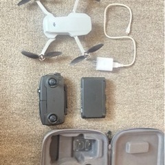 DJI Mavic miniの画像