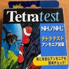 テトラ　アンモニアテスト