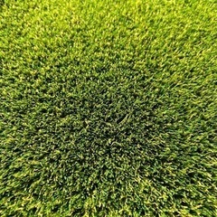 超高密度人工芝✨