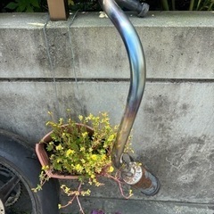 エイプ　マフラー