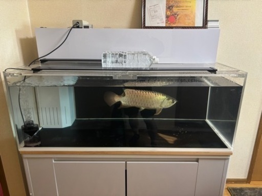 アクリル1200水槽