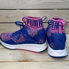 PUMA IGNITE EVOKNIT プーマ◆レディースランニングシューズの画像