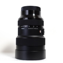 シグマ（SIGMA）14-24mm F2.8 DG DN [ソニーE用]