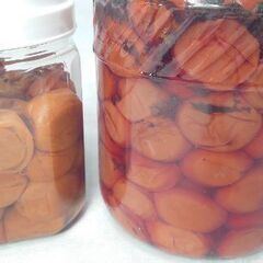 『右１つになりました❗』眺めているだけで生唾が出て健康な気分になる置物 オブジェ ◑古民家に隠れ家にの画像