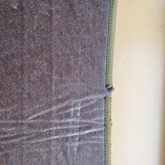 防水ホットカーペットの画像