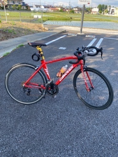 こちら引き取り者決まっています。