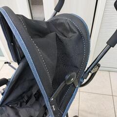 バギーの画像