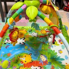Fisher Price フィッシャープライス レインフォレスト...