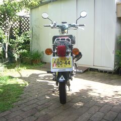 ホンダカブラ（改）の画像