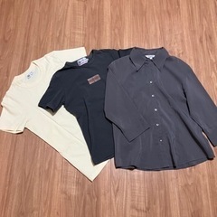 レディース Tシャツ&ブラウスの画像