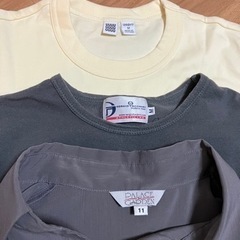 レディース Tシャツ&ブラウスの画像