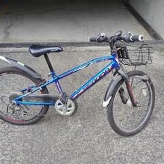 　SEDONA　自転車