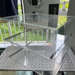 爬虫類　アクリルケースワイド　2個