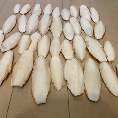 カトルボーン　陸亀　小鳥　餌