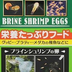 ブラインシュリンプ