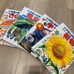 小学館の図鑑の画像