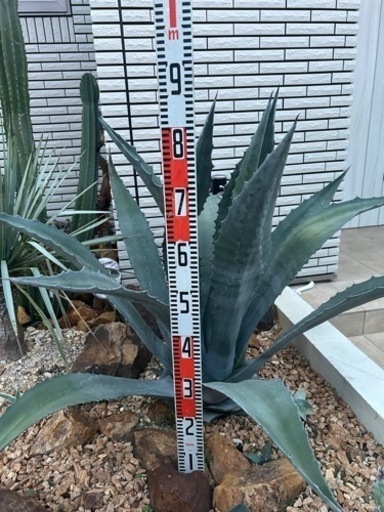 生活雑貨 家庭用品 ガーデニング