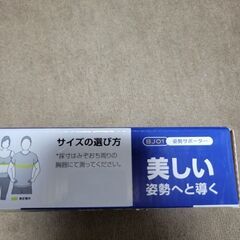 背筋　猫背　正しい背筋　新品の画像