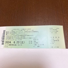 ６月22日（土）　中日対広島　バンテリンドームチケット　1枚