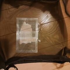 バギーの画像