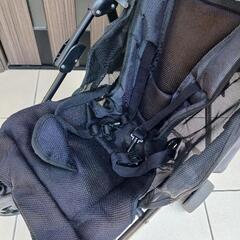バギーの画像
