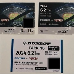 エスコン　ファイターズvs楽天イーグルス戦　観戦ペアチケット