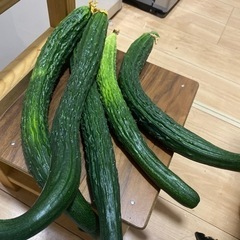 生活雑貨 家庭用品 ガーデニング