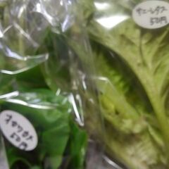 新鮮野菜コーナーの6月17日の品出し予定です。の画像