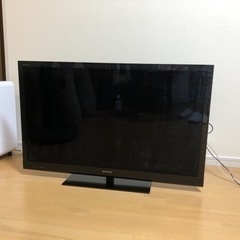 家電 テレビ 液晶テレビ