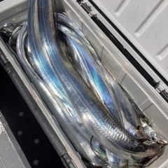 釣りグループのお誘いです - 鹿嶋市