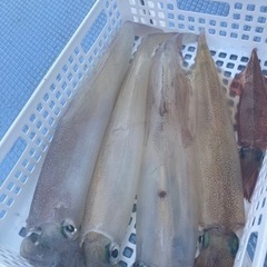 釣りグループのお誘いです - 友達