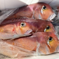 釣りグループのお誘いです - メンバー募集