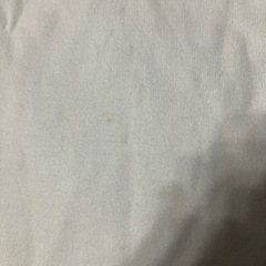 ラルフローレン長Ｔシャツの画像