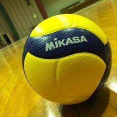 バレーボールメンバー募集中‼️