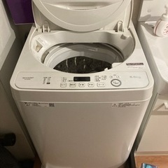 家電 生活家電 洗濯機