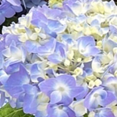 6月23日　ラインのお友達を新しく増やす会