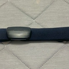 GARMIN ガーミンハートレイトセンサーの画像