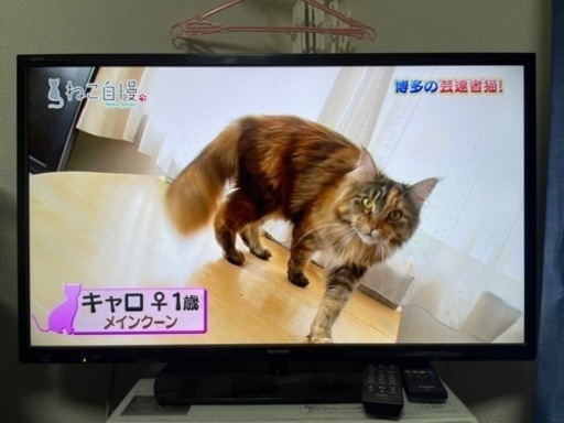 32型テレビ