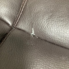 家具 椅子 の画像