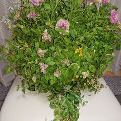 【可憐】ハンギングバスケット幅４５ｃｍ