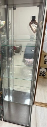 コレクションケース