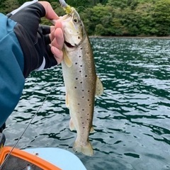 釣り仲間募集 - その他